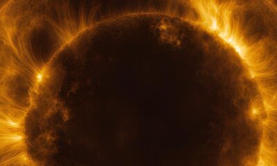 Sun's magnetic field 
