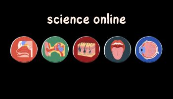 The Science Online