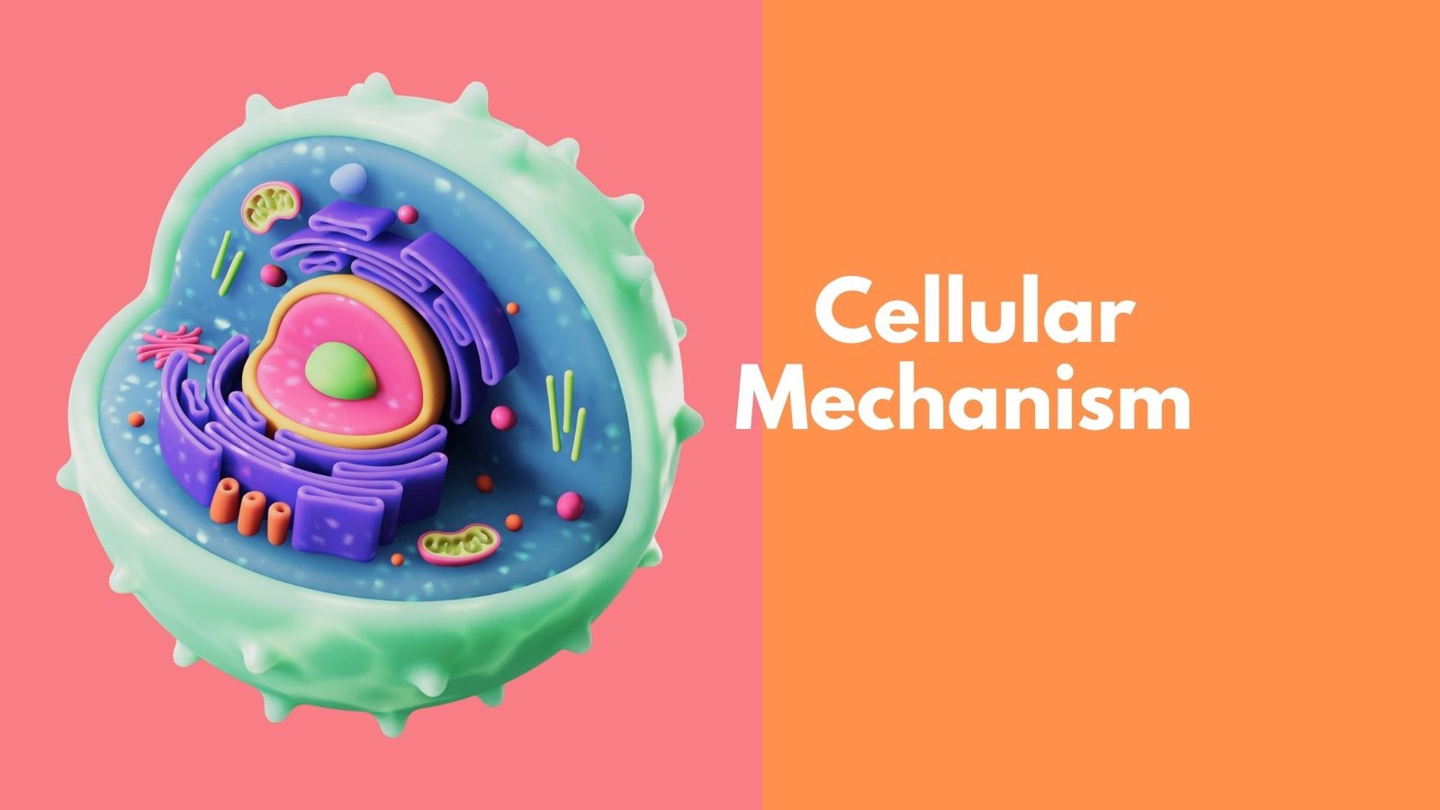 Cellular Survival Mechanism